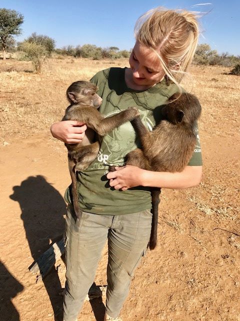 Wildlife Rescue Project