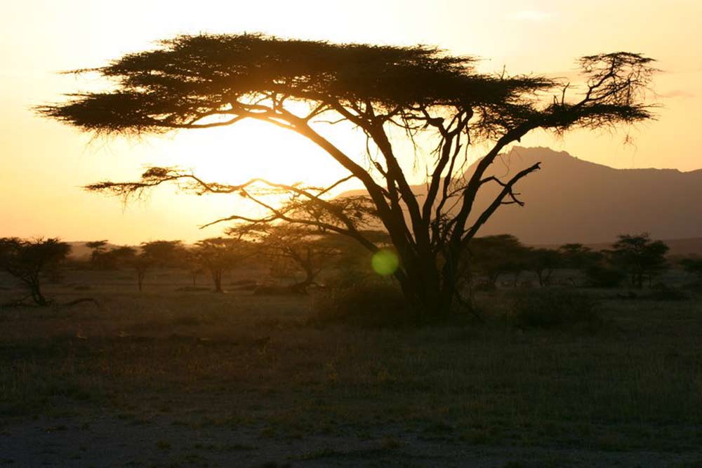 7 daagse Kenia Trails Lodge en Tented Camp prive safari reis