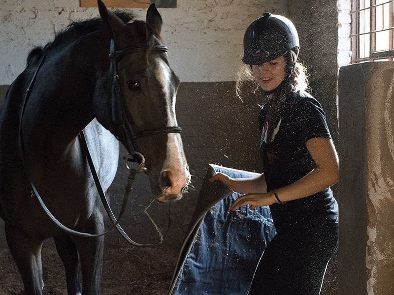 Hanchi Horseback Conservation Experience