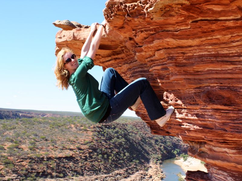 Dolfijnen in het Wilde Westen