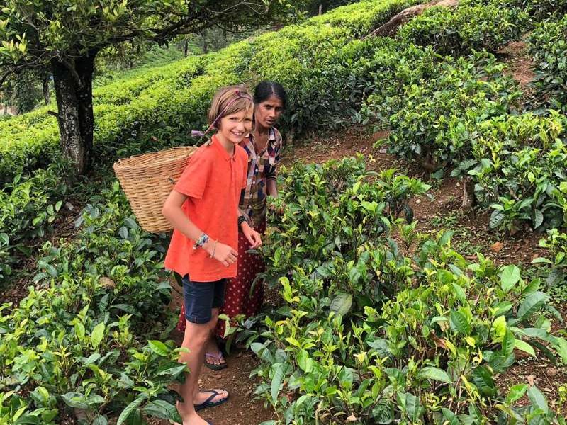 No worry Ceylon curry