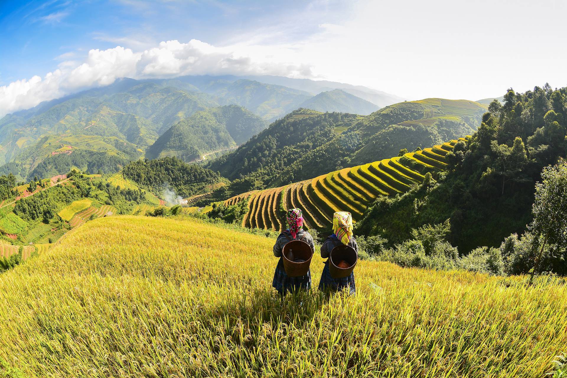 De hoogtepunten van Vietnam
