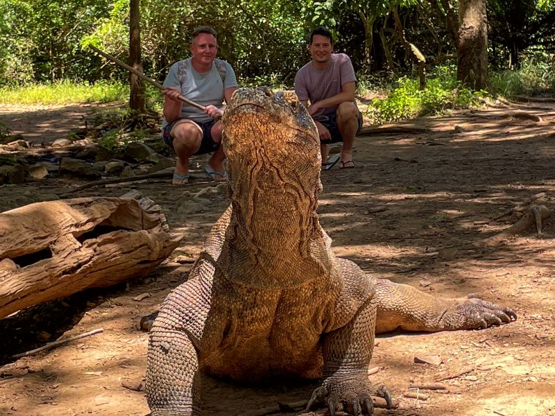 Rondreis Van rijstterrassen naar Komodo-eiland