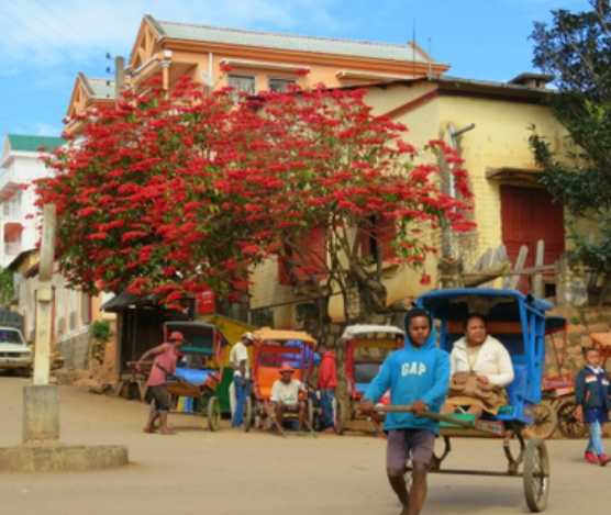 Madagaskar rondreis betaalbaar