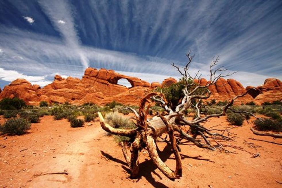 Desert arches en canyons