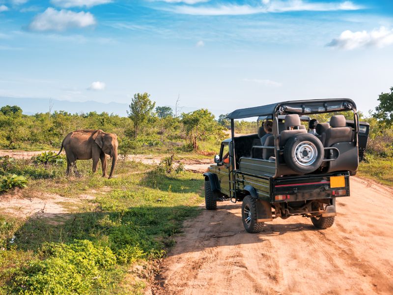 Sri Lanka: Onze keuze
