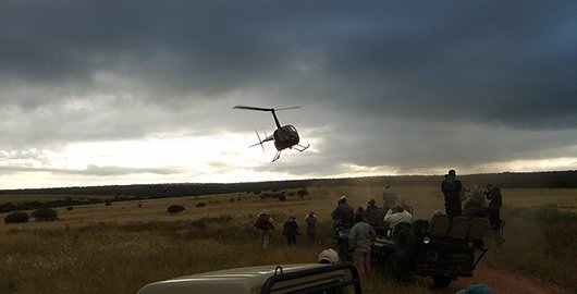 Game Ranger Conservation Experience