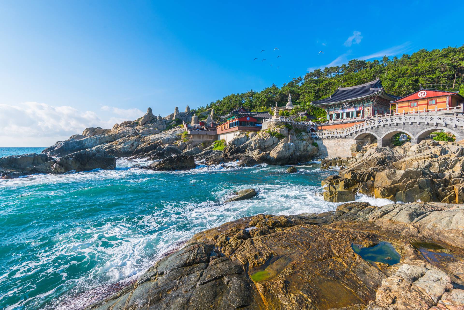 Luxe privéreis | Zuid-Korea Deluxe