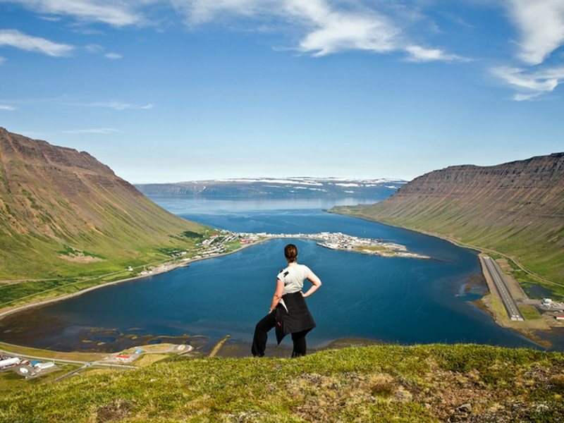 11 dagen IJsland; wandelen en wildlife
