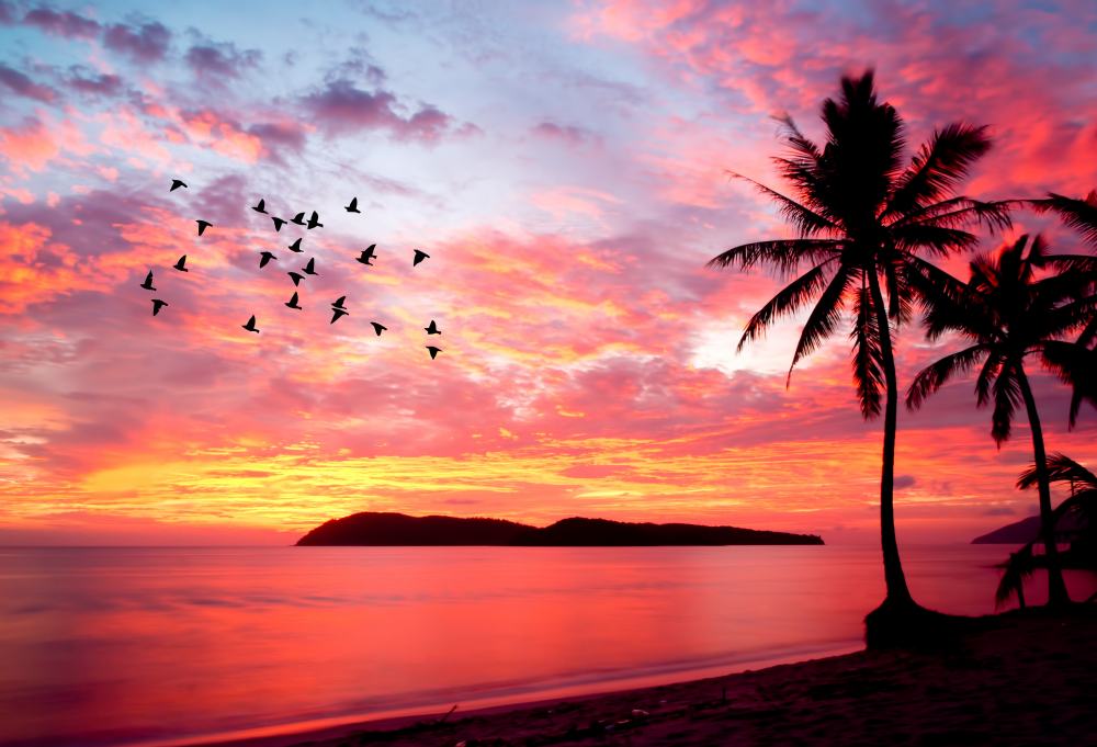 Kuala Lumpur, Penang en Langkawi