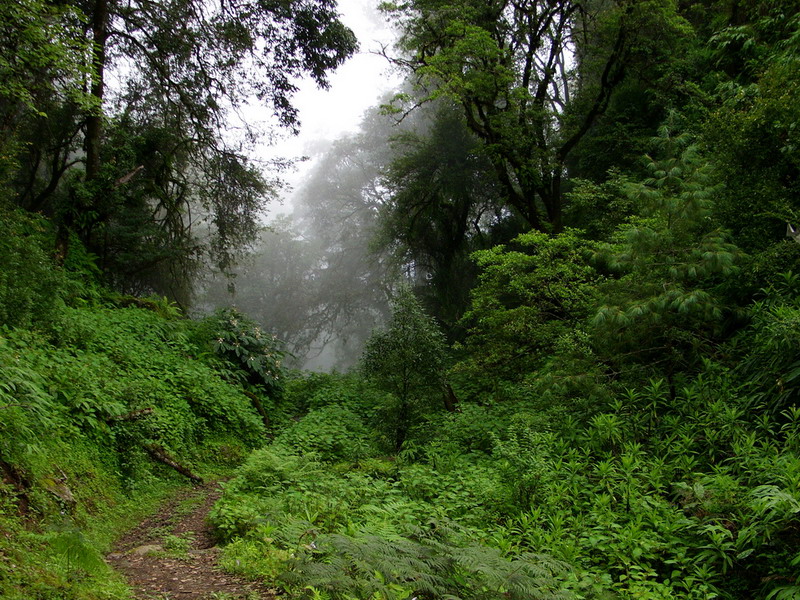 16 daagse  Nepal – Langtang & Helambu