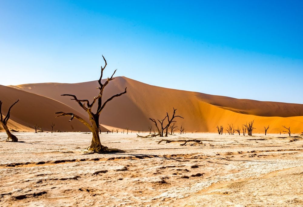 Highlights Avontuurlijk Namibië Deluxe