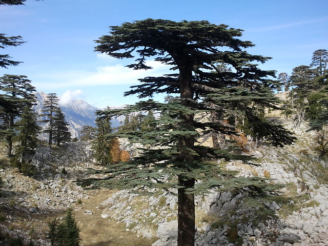 8 daagse  Turkije –  East Lycian Way