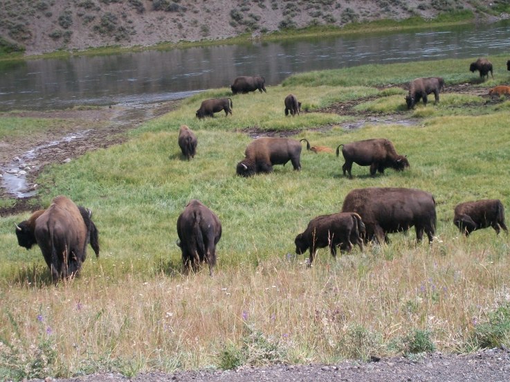 23 daagse  Verenigde Staten – Colorado, Montana, Wyoming, Washington
