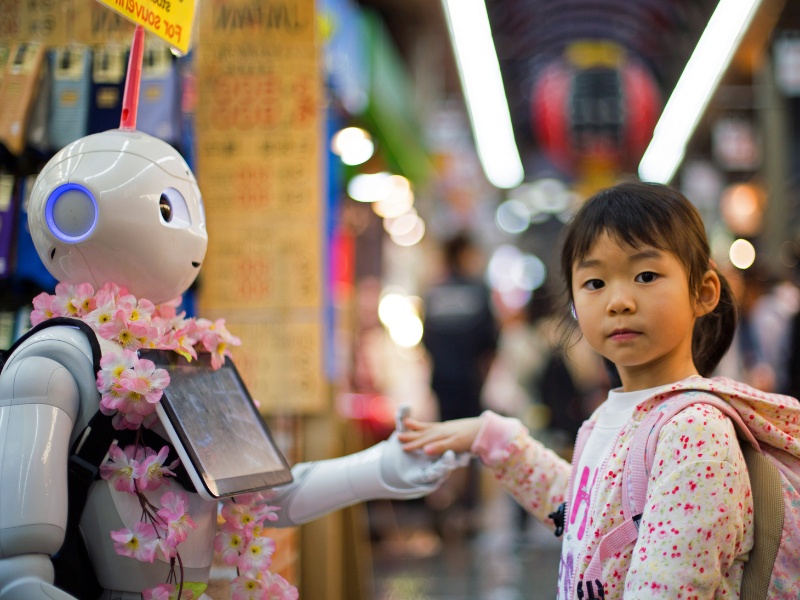 Avontuurlijk Japan