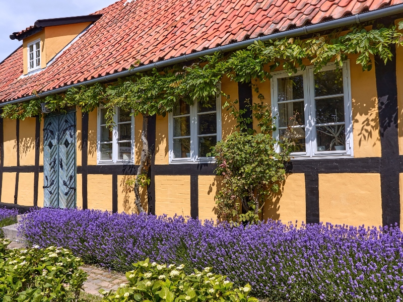 8 daagse  Denemarken – Bornholm