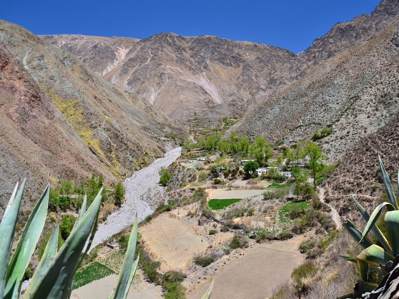 18 daagse  Argentinië – Noordwest Argentinië en Atacama-woestijn