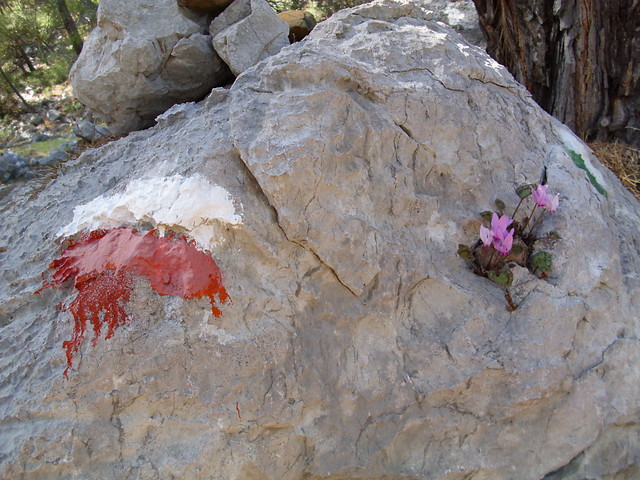 8 daagse  Turkije –  East Lycian Way