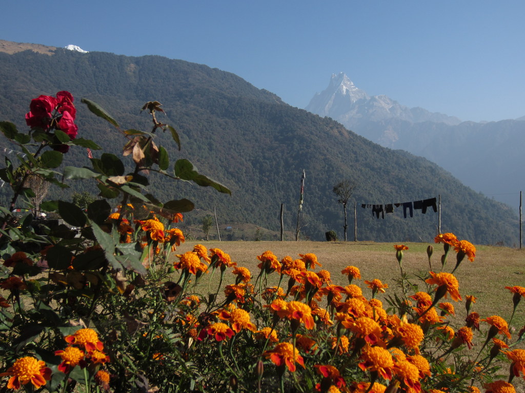 19 daagse  Nepal – Panorama