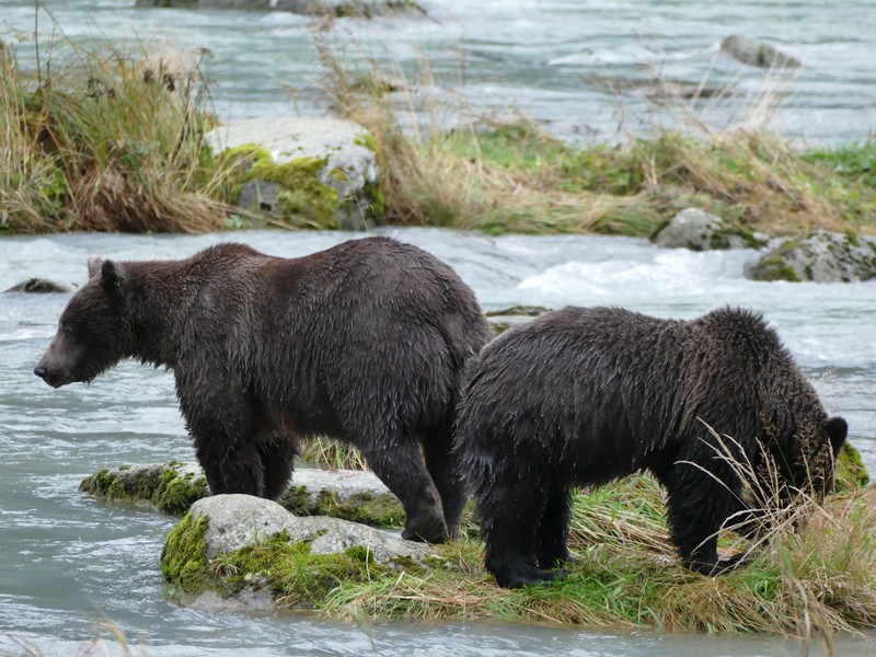 16 daagse  Canada – The Spell of the Yukon