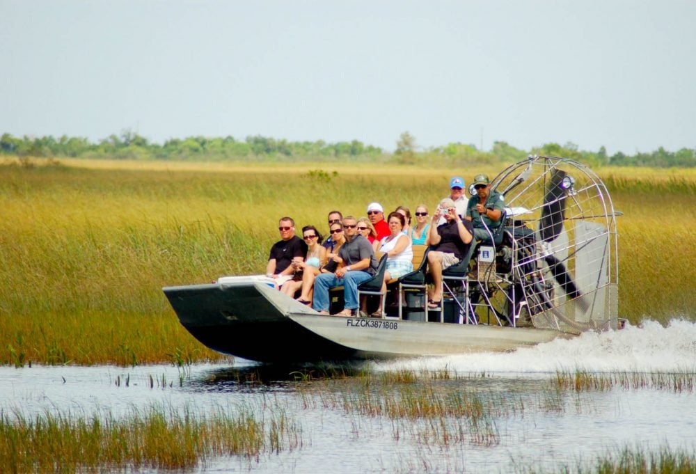 Natuurschoon & wildlife van Florida