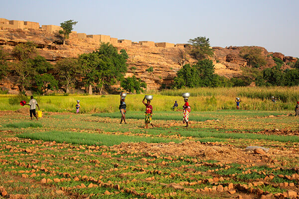 Rondreis Ghana, Togo & Benin