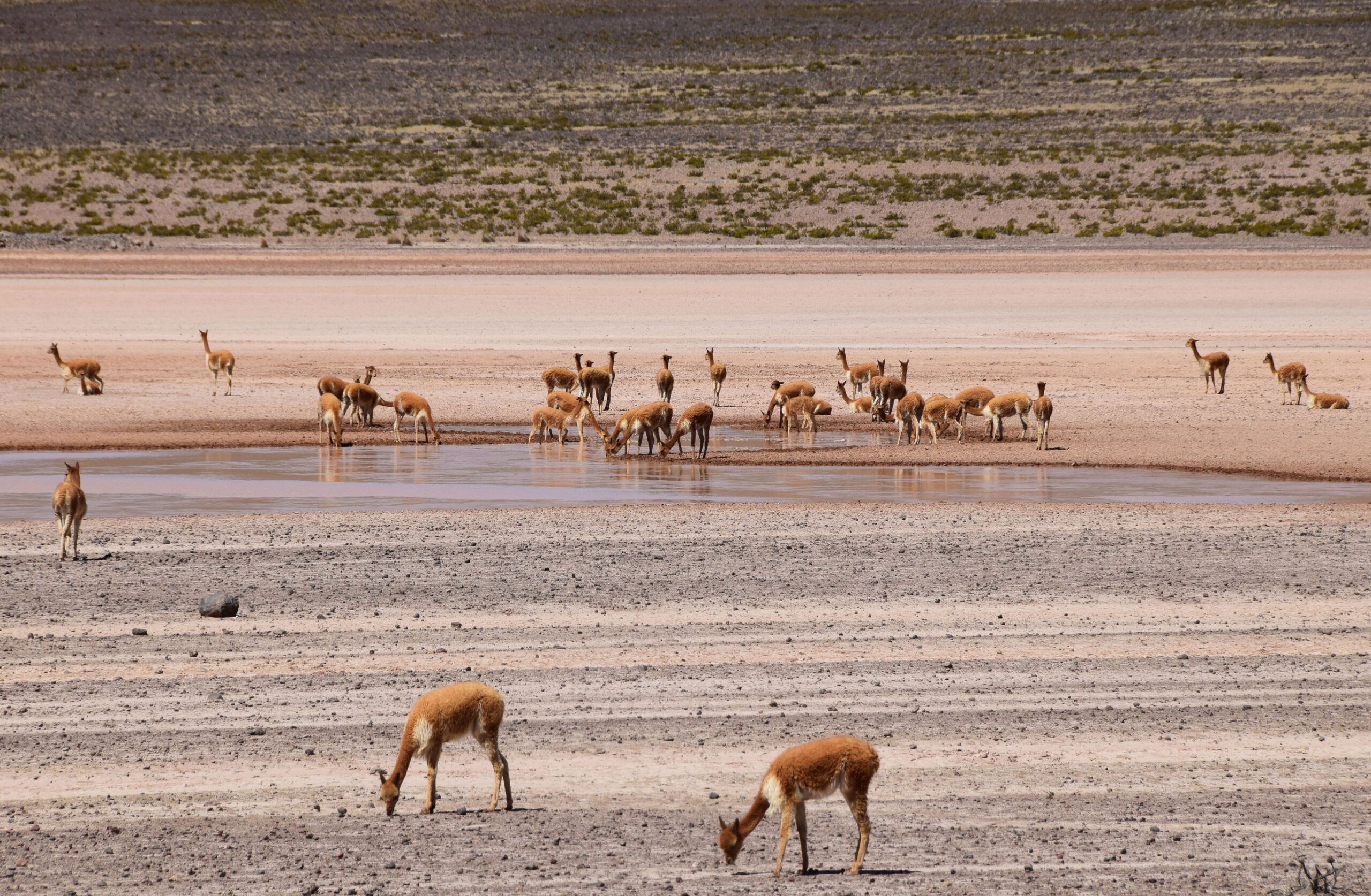 Hoogtepunten van Peru