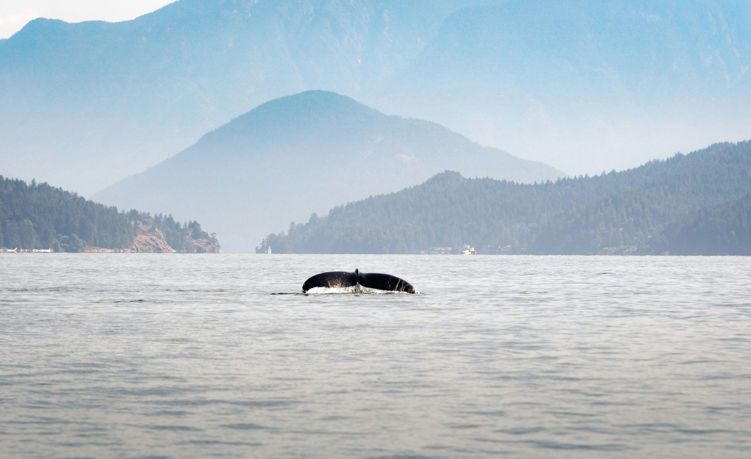 Vancouver & the Sunshine Coast