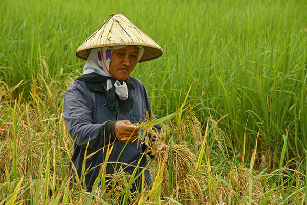 Rondreis Maleisisch Borneo, Sabah & Sarawak