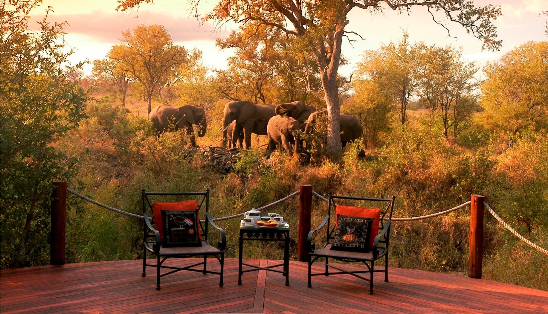 Country House en Safari Lodge
