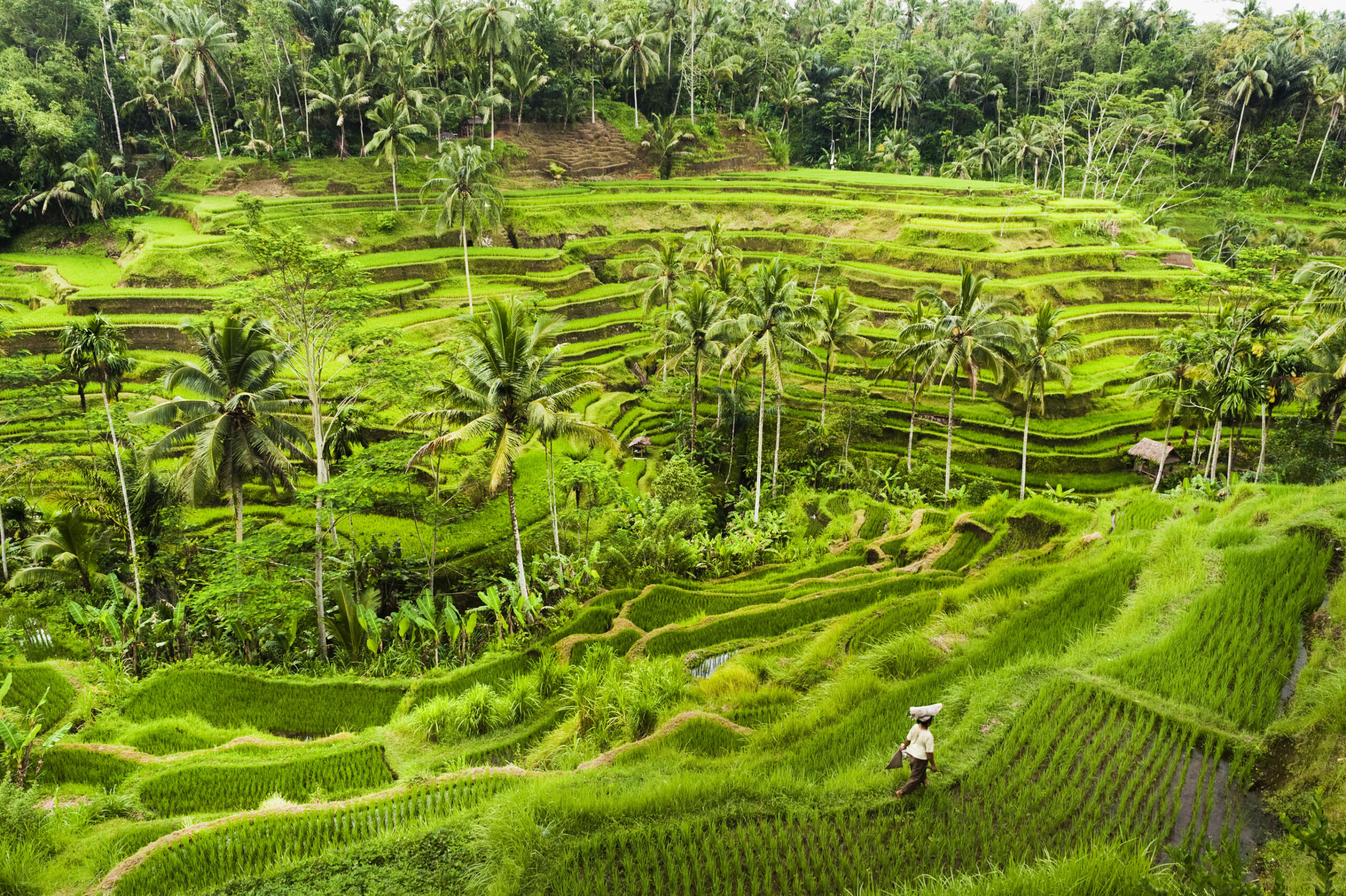 Hoogtepunten van Java en Bali