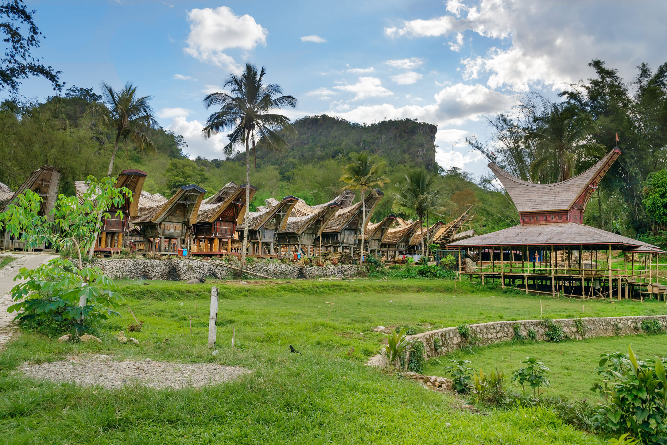 Rondje Sulawesi en Bali