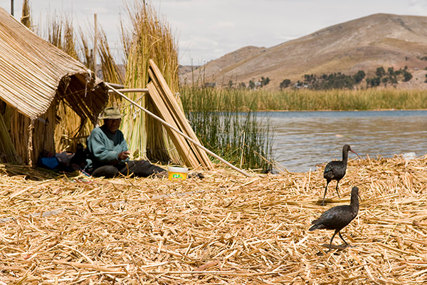 Rondreis Peru met Amazone