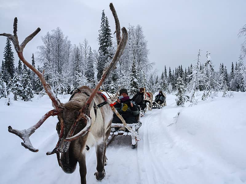 Familierondreis Lapland