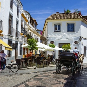 Rondreis Spanje (Andalusië)