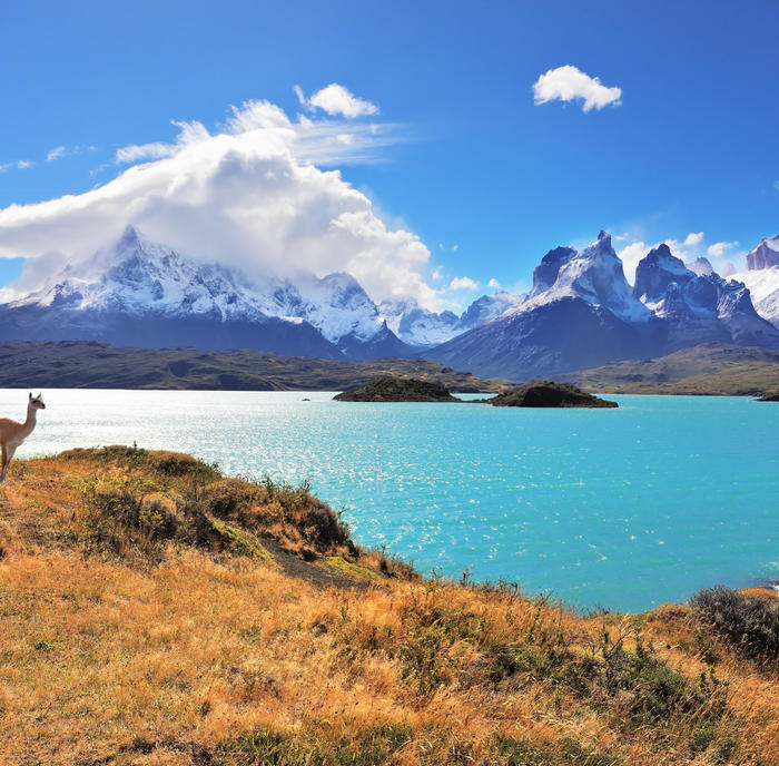 Groepsrondreis Patagonië en Paaseiland