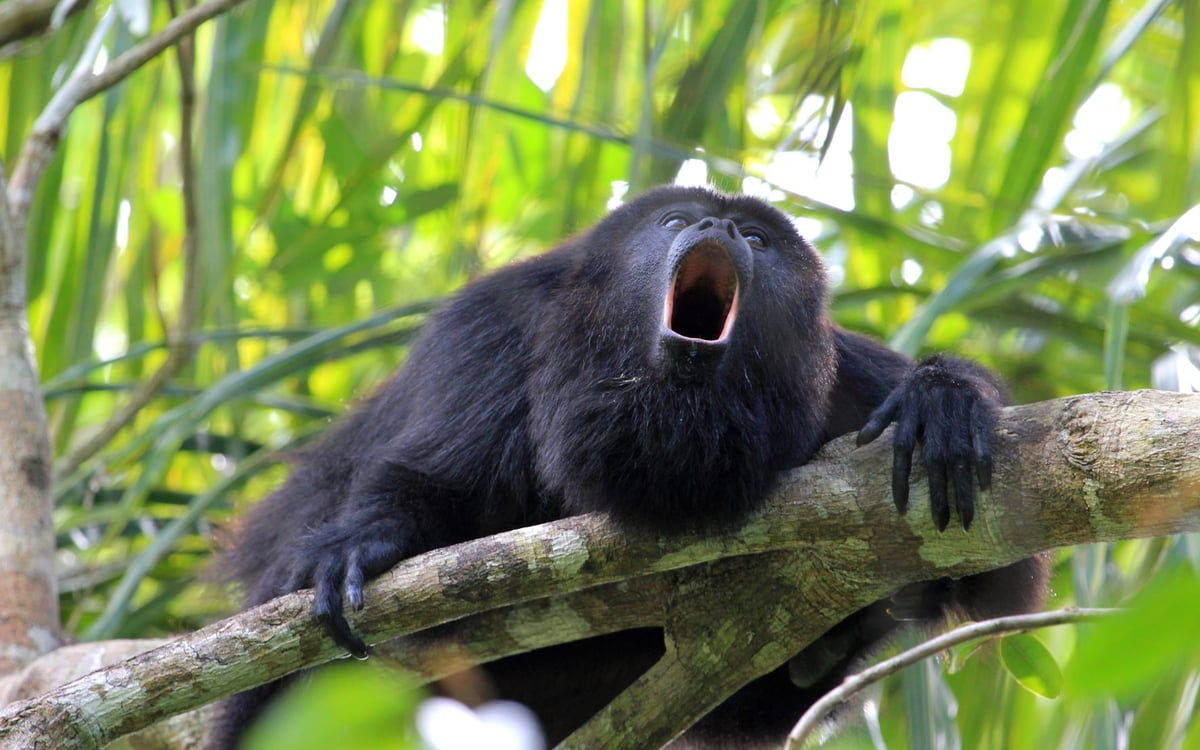 Actieve familiereis met een onvergetelijke trekking in de Andes