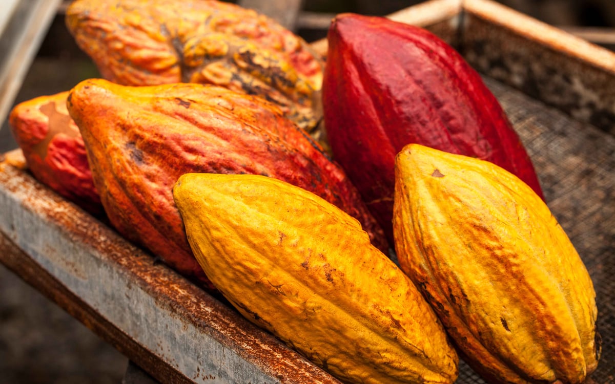 Familiereis langs de hoogtepunten