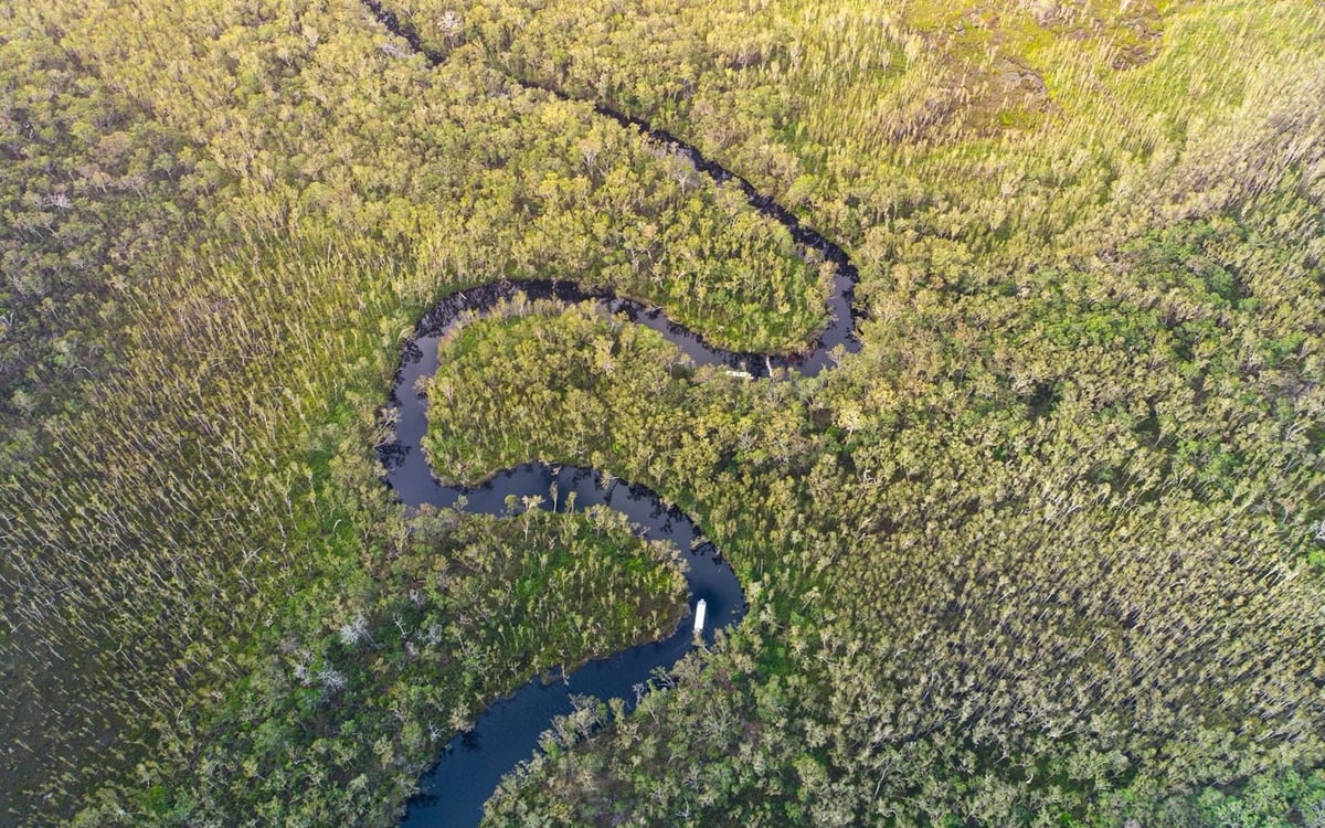 Familieavontuur voor uw tieners tussen paradijselijke stranden en tropische bossen