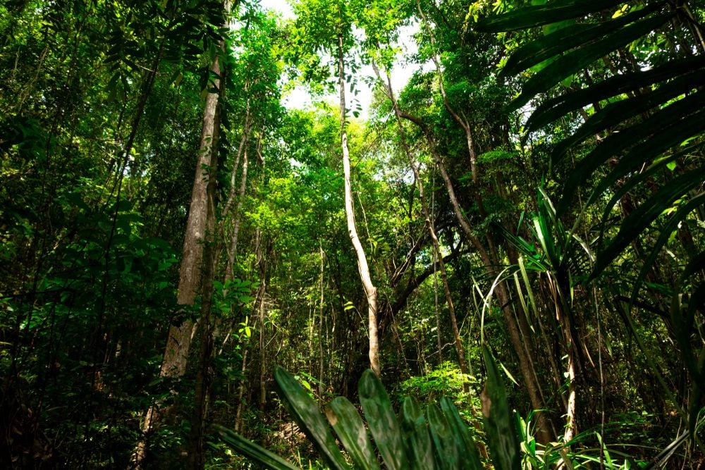 Eilandhoppen in onontdekt Oost-Thailand