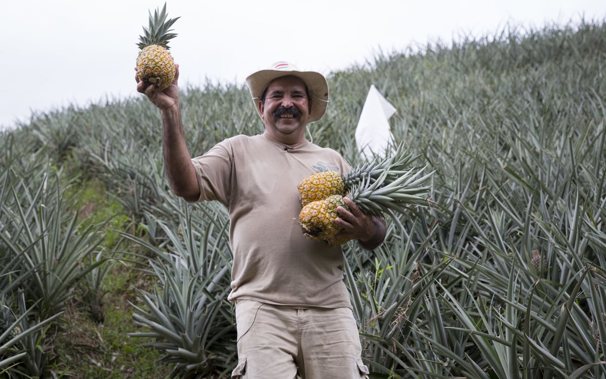 Familiereis langs de hoogtepunten