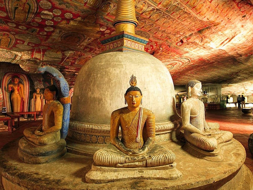 Ultiem Gezinsavontuur in Sri Lanka in de Zomer