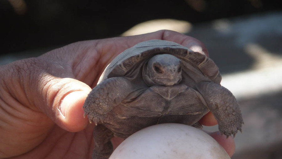 Groepsrondreis Galapagoseilanden