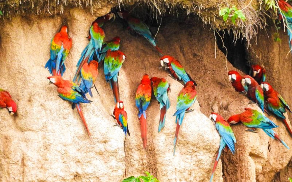 Actieve familiereis met een onvergetelijke trekking in de Andes