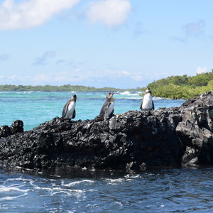 Rondreis Ecuador & Galapagos