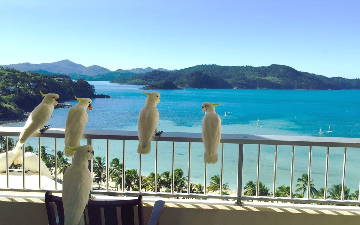 Kerst op het strand & Oud en Nieuw in Sydney: Een familiereis