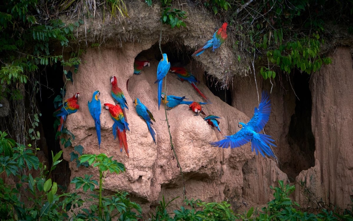 Highlights en nationale parken in een jeep met chauffeur