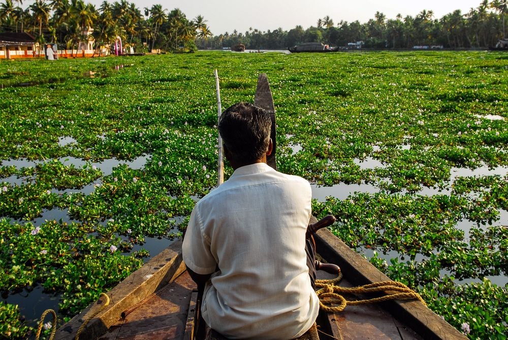 Actief door het dynamische zuiden