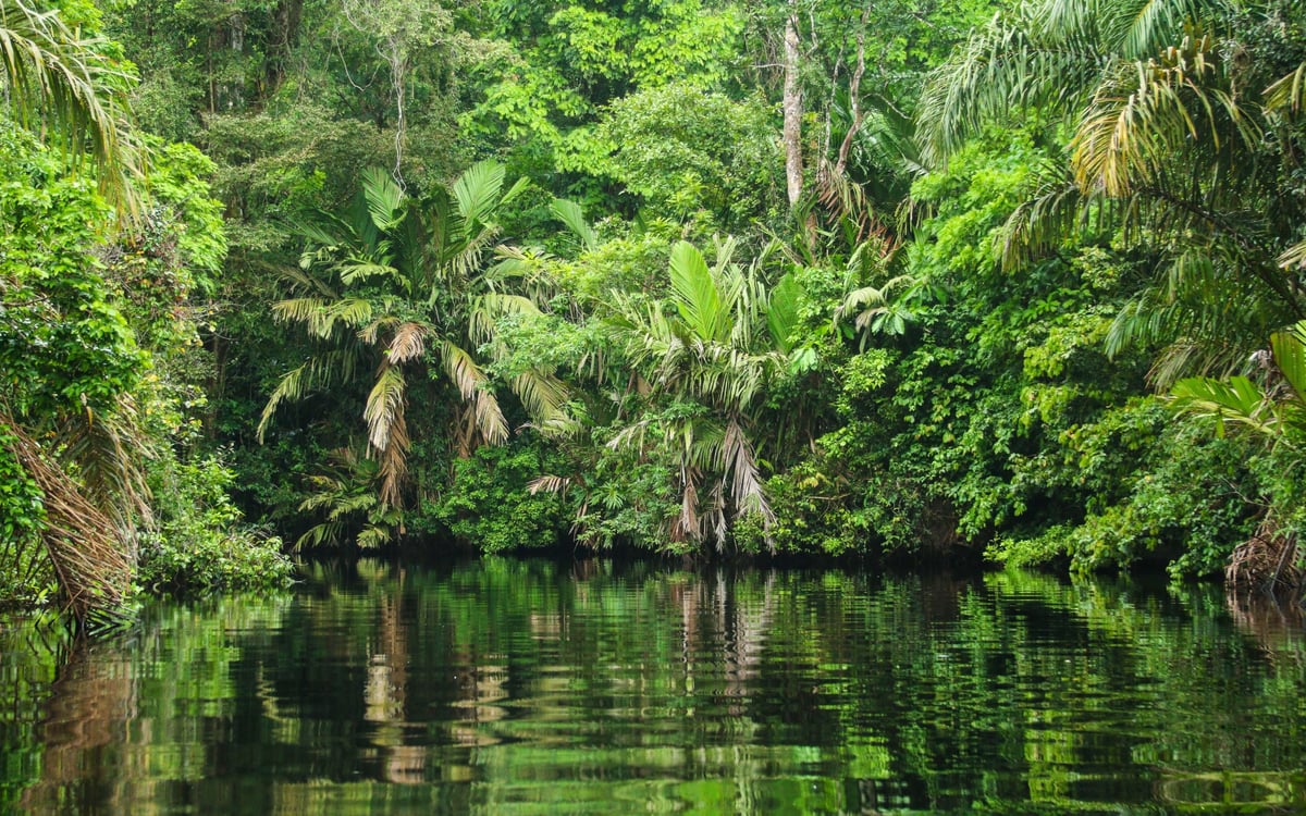 Een mix van natuur, jungle en stranden