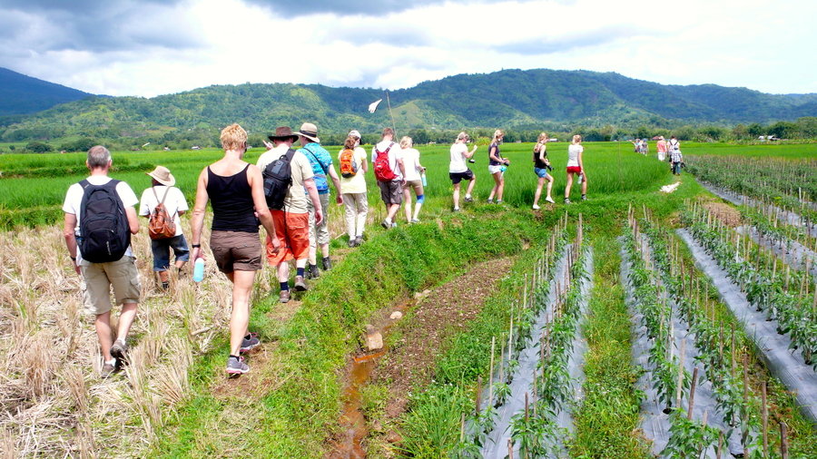 Familiereis Sumatra, Java en Bali